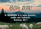 Salmo do dia