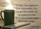 Salmom do dia