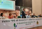 Guavira: VI Seminário traz avanços nas pesquisas sobre o fruto símbolo de MS
