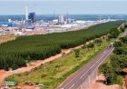 Ranking de liberdade econômica coloca MS entre os três estados com melhor ambiente para negócios