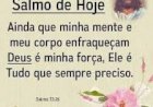 Salmo do dia