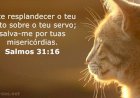 Salmo do dia