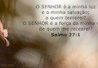 Salmo do dia
