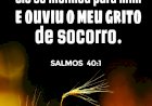 Salmo do dia