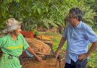 Landmark Rios é destaque entre os 10 vereadores mais bem avaliados de Campo Grande, aponta pesquisa