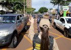 Prefeitura de Dourados terá programação educativa no Maio Amarelo