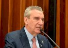 Deputados comemoram Mato Grosso do Sul livre de febre aftosa sem vacinação