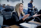 Mutirão de castração para Dourados é solicitado por Lia Nogueira