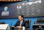 Às vésperas da COP15, MS escolhe a juruva como ave símbolo da Mata Atlântica
