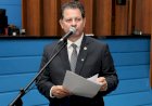 Juruva pode se tornar ave símbolo da Mata Atlântica em MS