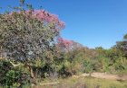Prefeitura fará pesquisa socioambiental no Parque Natural Municipal do Paragem