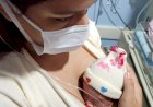 ‘Toucas malucas’: mães de bebês da Neonatologia do HRMS encontram cor e esperança em ação terapêutica