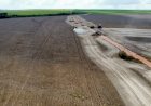 Adaptação climática no agro garante vantagem competitiva