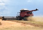 Região Sul lidera colheita da soja em Mato Grosso do Sul
