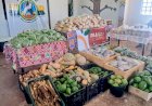 Prefeitura já entregou 76 toneladas de alimentos a indígenas e quilombolas