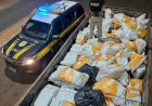 Carga milionária de maconha é descoberta sob sacas de chia