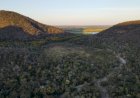 Para preservar o Pantanal, podutores rurais têm ações de conservação remuneradas por programa do Governo de MS