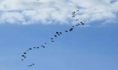 Previsão é de tempo estável em Mato Grosso do Sul nesta quinta-feira; confira