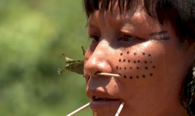 Observatório identifica 42 políticos com fazendas em terras indígenas; MS lidera lista