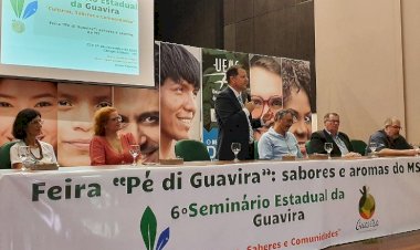 Guavira: VI Seminário traz avanços nas pesquisas sobre o fruto símbolo de MS