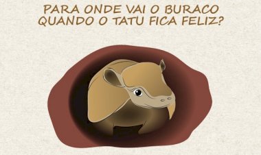 Comunicação da ALEMS lança livro com reflexão sobre a depressão