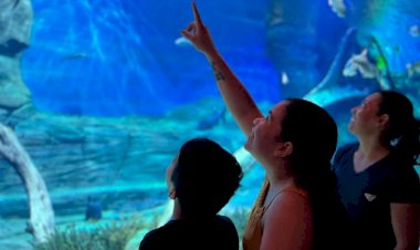 Em comemoração ao segundo ano, Bioparque abre inscrições para Jornada de Pesquisa e Tecnologias