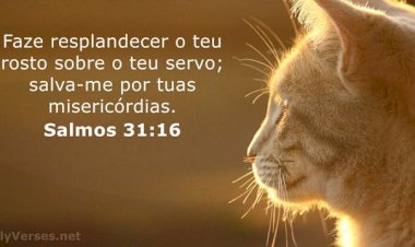 Salmo do dia
