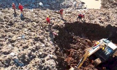 Cães farejadores do Corpo de Bombeiros de MS localizam corpo no RS