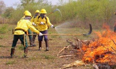 Deputado Zé Teixeira requisita equipamentos para combate a incêndios
