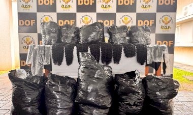 DOF apreende mais de cem quilos de cabelo humano em Maracaju
