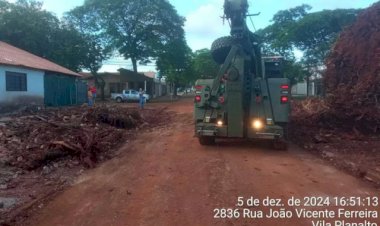 Defesa Civil conclui retirada de destroços de seringueira centenária