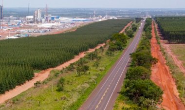 Com projeto robusto, Rota da Celulose tem expectativa de voltar ao mercado no primeiro trimestre de 2025