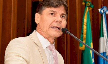 No dezembro verde, ongs de proteção animal recebem emendas de Paulo Duarte