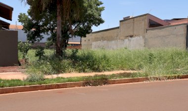 Prefeitura de Dourados dá prazo de 15 dias úteis para limpeza de terrenos baldios