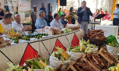 Programas de compras públicas aumentam a renda de agricultores familiares em até 106%, aponta Ipea