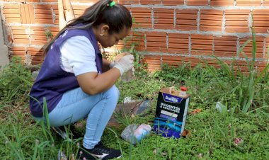 Mesmo com baixa incidência de casos, prefeitura mantém combate a dengue