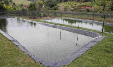 Prefeitura isenta de licença ambiental projetos de piscicultura de até 2 hectares
