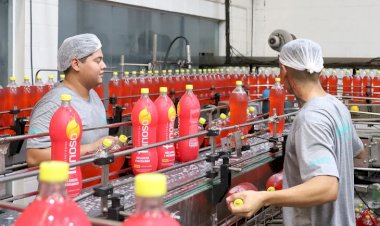 Mercado de trabalho formal em Mato Grosso do Sul fecha 2024 com saldo positivo de 12,4 mil vagas