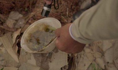 2025: Mato Grosso do Sul registra primeira morte por dengue