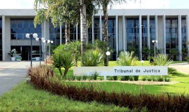 Empresa de ônibus deve indenizar familiares de vítima fatal de acidente de trânsito