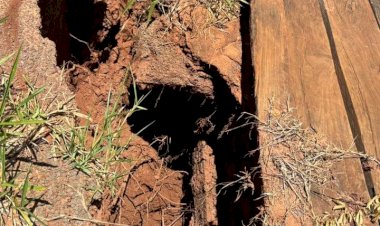 Campo Grande: Zé Teixeira pede urgência na reconstrução de ponte
