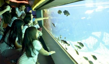 Bioparque Pantanal abre agendamento para visitas escolares