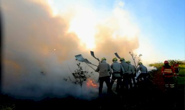 Prevenção aos incêndios: Governo de MS vai antecipar cronograma e lançar PSA Brigadas já em abril