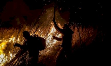Governo de MS lança edital do PSA Brigadas para fortalecer prevenção e combate a incêndios no Pantanal