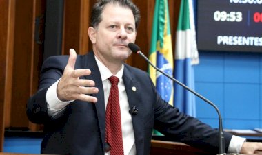 Frente Parlamentar monitora caso e sugere regionalização de status livre de gripe aviária