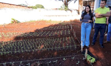 Hortas Agroecológicas ganham espaço nas escolas municipais de Dourados