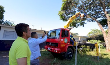 Prefeitura leva serviço de podas preventivas de árvores para a região da Vila Hilda