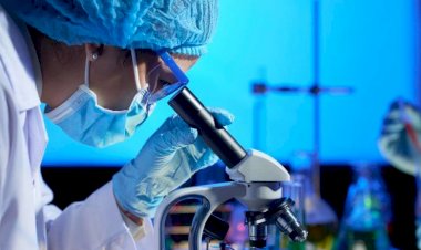 Zé Teixeira pede instalação de curso de biomedicina em Ivinhema