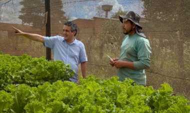 Proposta por Landmark, solenidade homenageia agricultura familiar e destaca quem coloca comida na mesa em Campo Grande