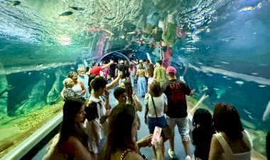 Bioparque Pantanal bate recorde de visitantes e consolida Campo Grande como novo destino turístico nacional